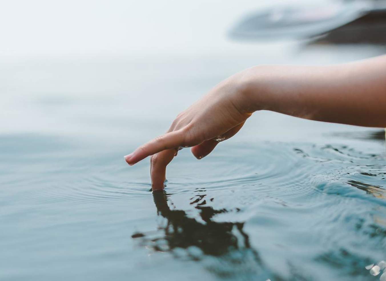 Header Sustainability